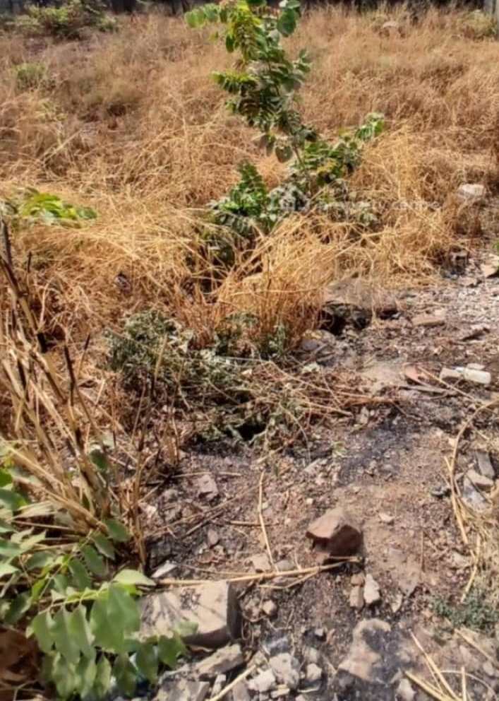 1.2 Hectares Commercial Land for Sale in Central Area