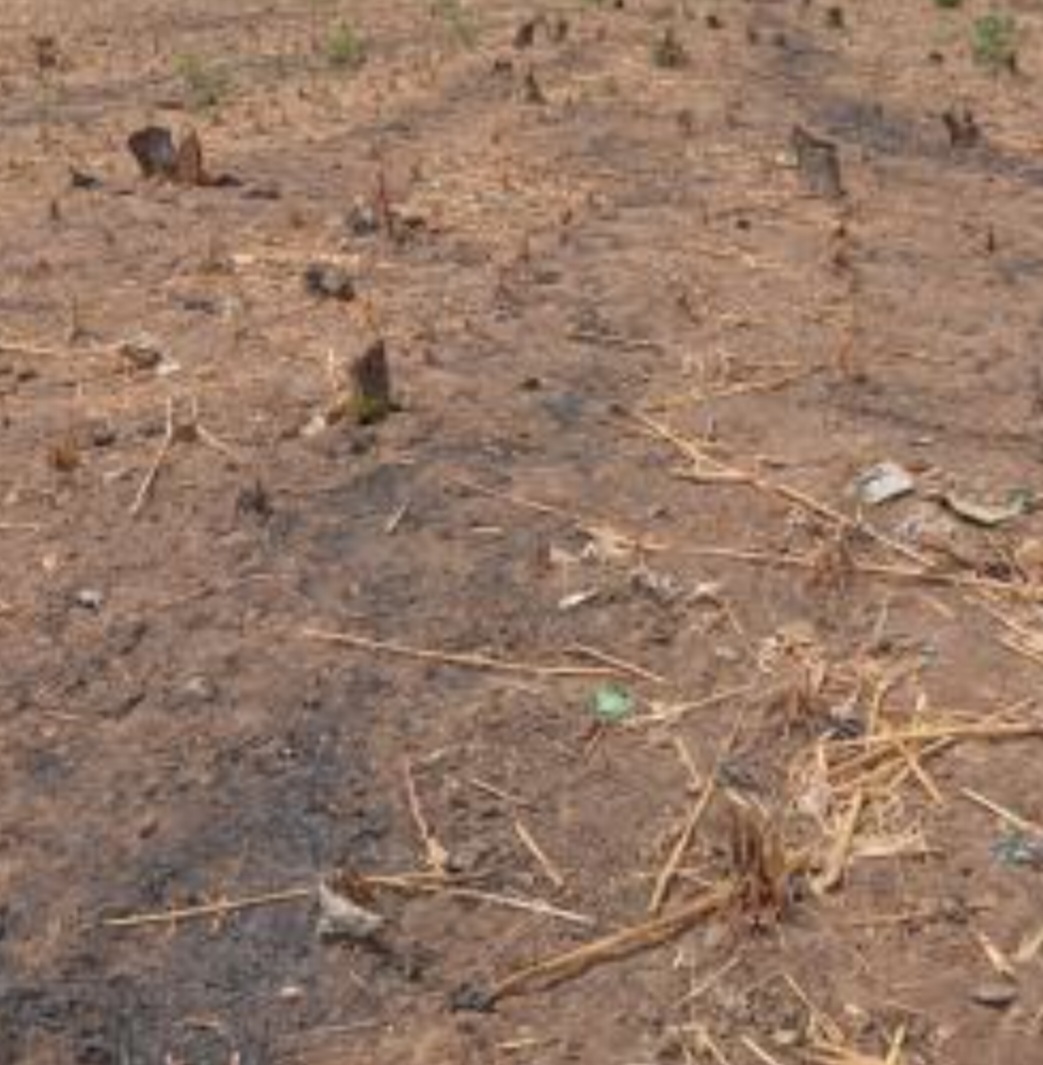 952.75Sqm Residential Land for Sale in Gwarimpa 2