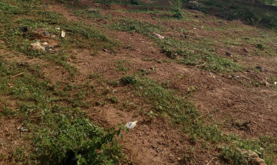 1550Sqm Residential Plots for Sale in Mbora By Citec 