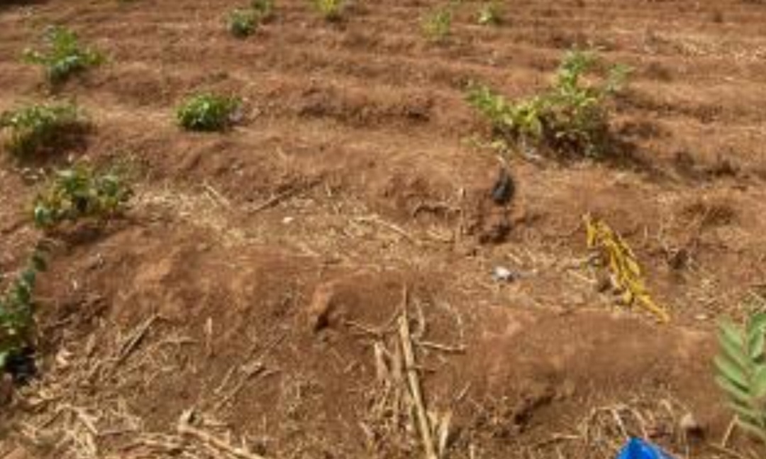 850Sqm Residential Land for Sale in Guzape
