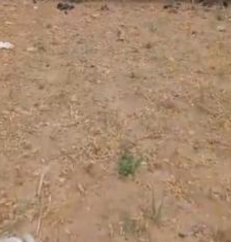 2000sqm Residential Land For Sale In Kyami
