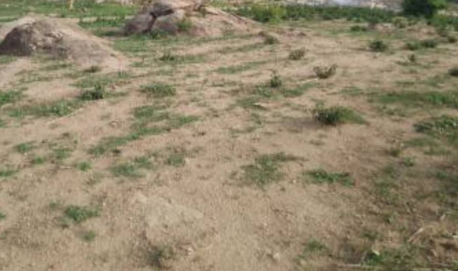 3114.89Sqm Commercial Land For Sale in Dape
