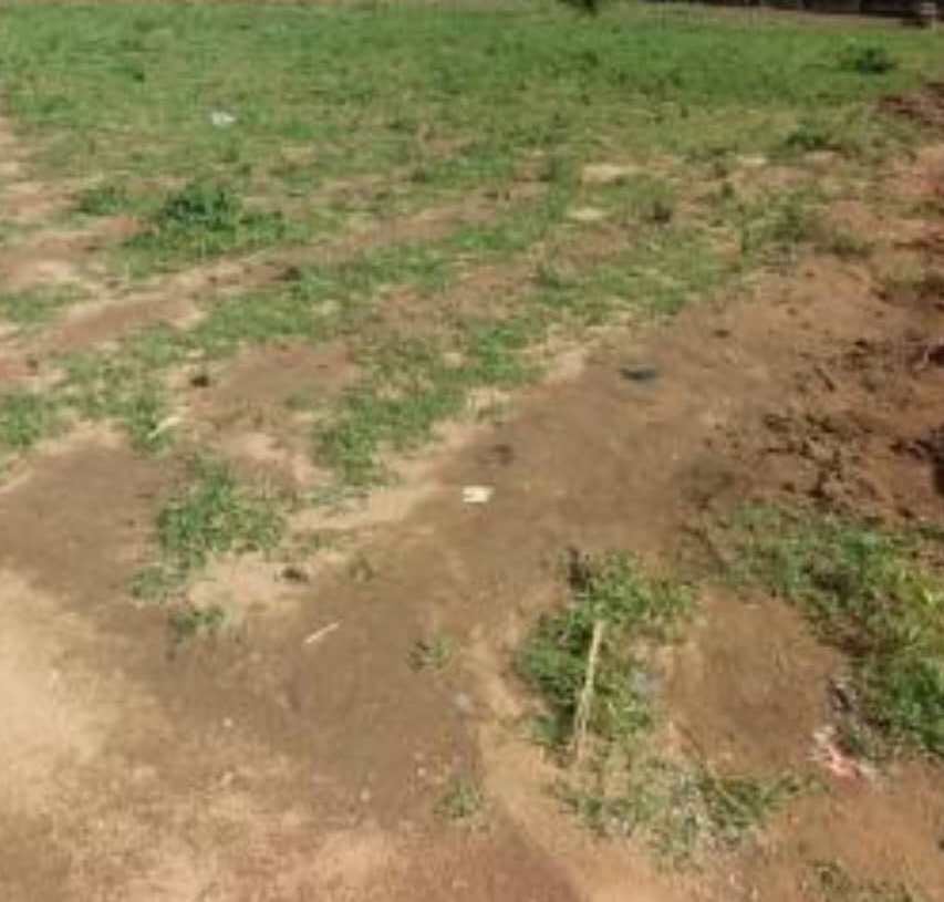 2400Sqm Residential Land For Sale in Burun