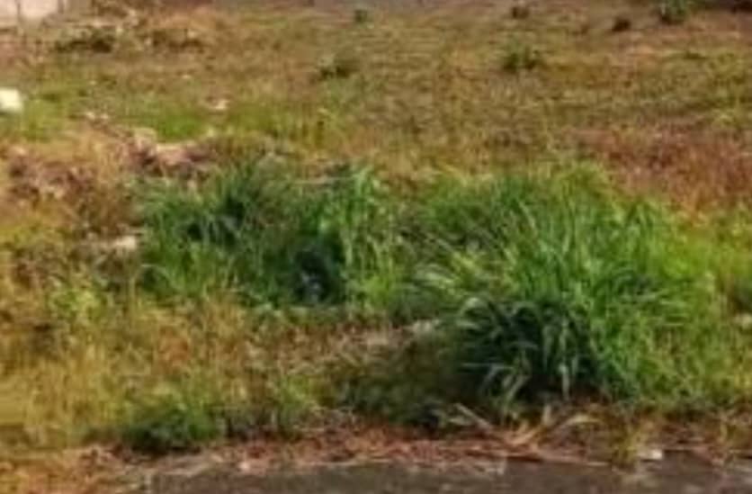 1600Sqm Residential Land For Sale in Kyami