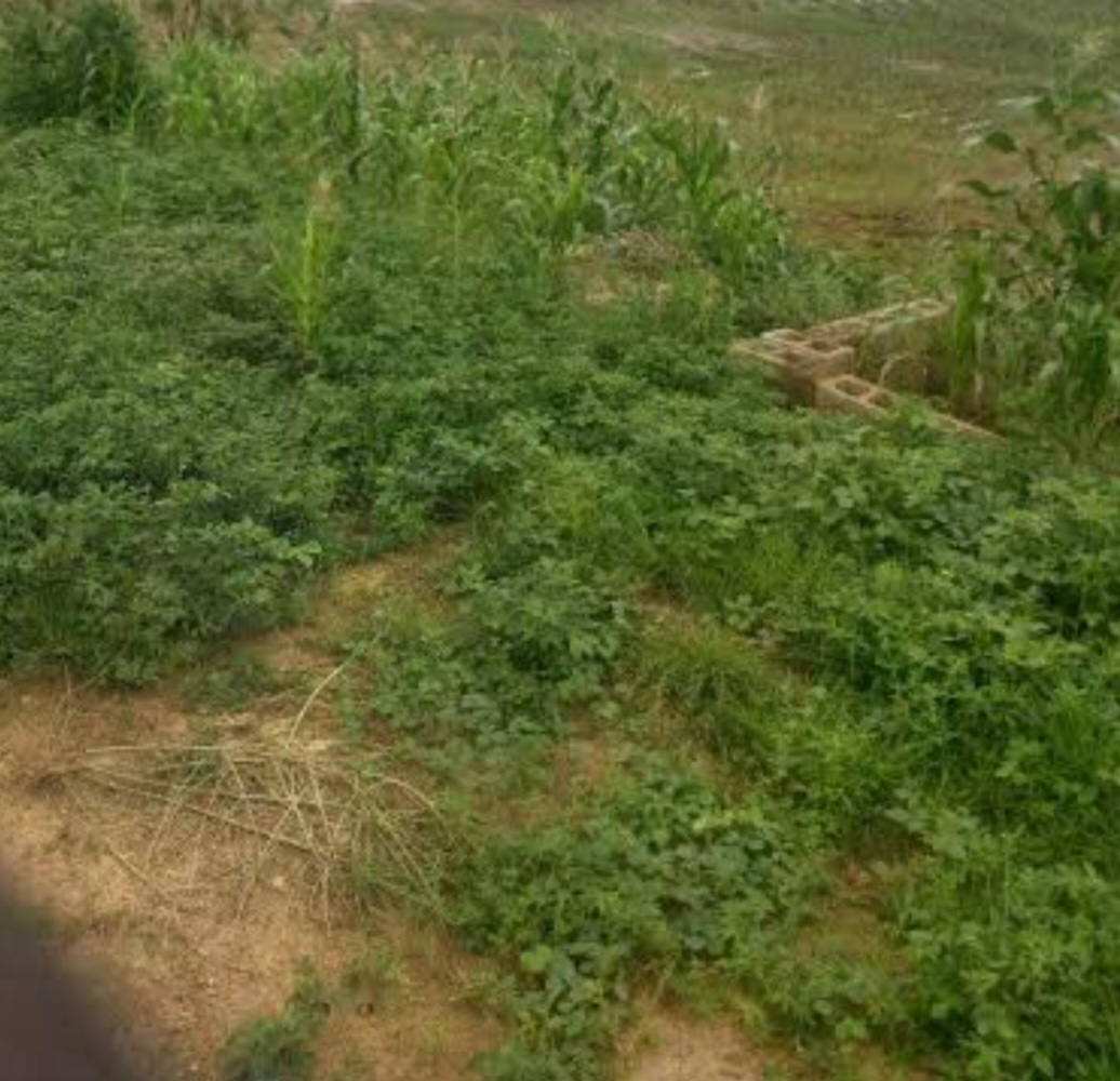2300Sqm Residential Land For Sale in Kaura