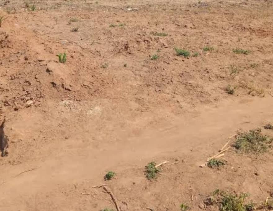 1400Sqm Residential Land For Sale in Jahi