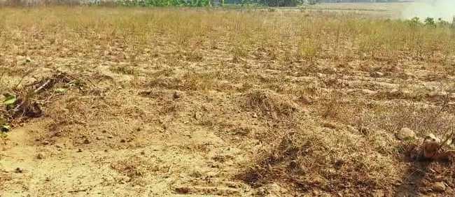 100 Hectares  Mixed-Use Land For Sale in Maitama 2