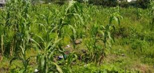 1200Sqm Residential Land For Sale In Katampe 