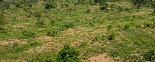 1600Sqm Residential Land For Sale in Katampe 
