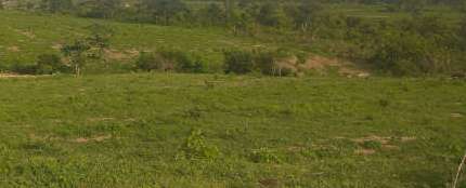 3.14 Hectares Residential Land For Sale In Kyami