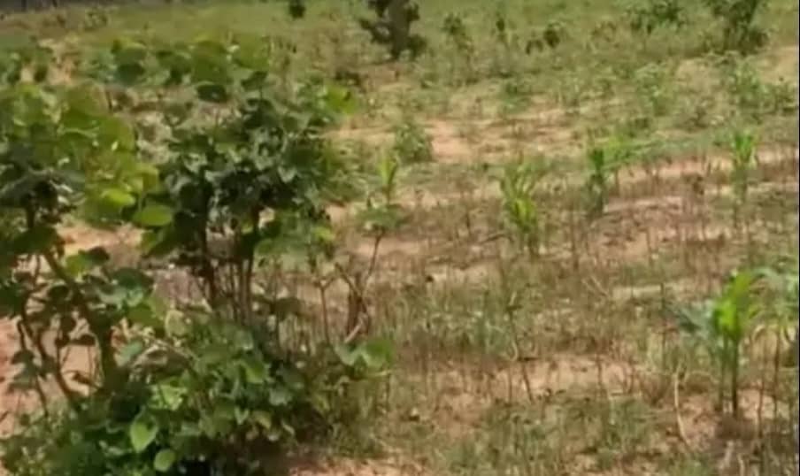 2000Sqm Residential Land For Sale in Kyami 